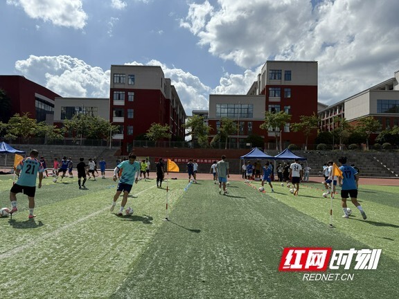 主要是针对, 副其实的老 主要是针对, 副其实的老